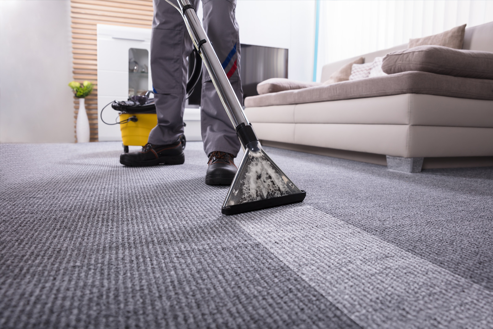 affordable carpet cleaning in Geelong